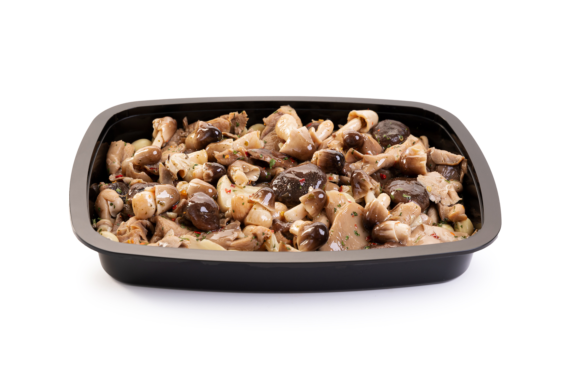 Funghi di Muschio 